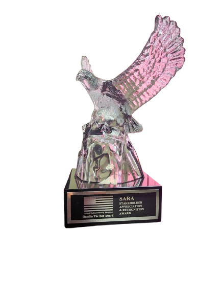 SARA Outside the Box Award