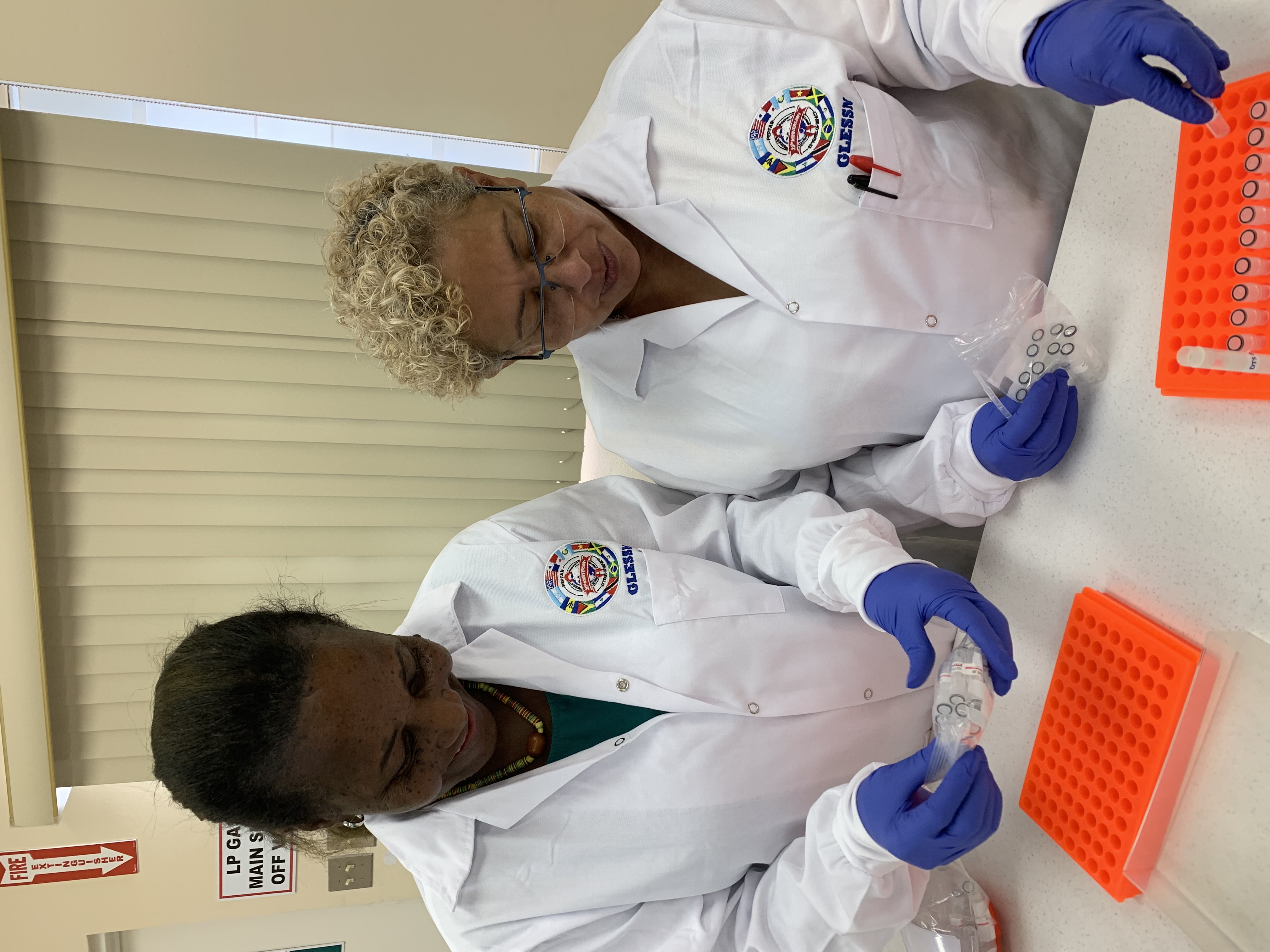 GLESSN laboratory scientists processing samples